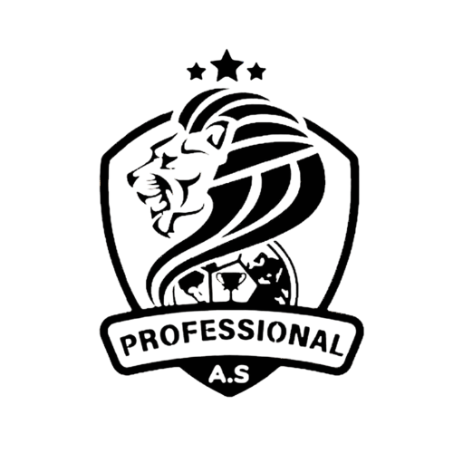 Professional Football Academy Logo