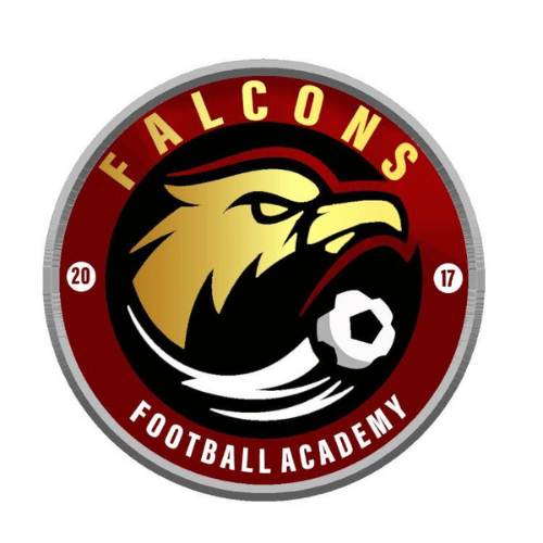 Falcons Football Academy Logo